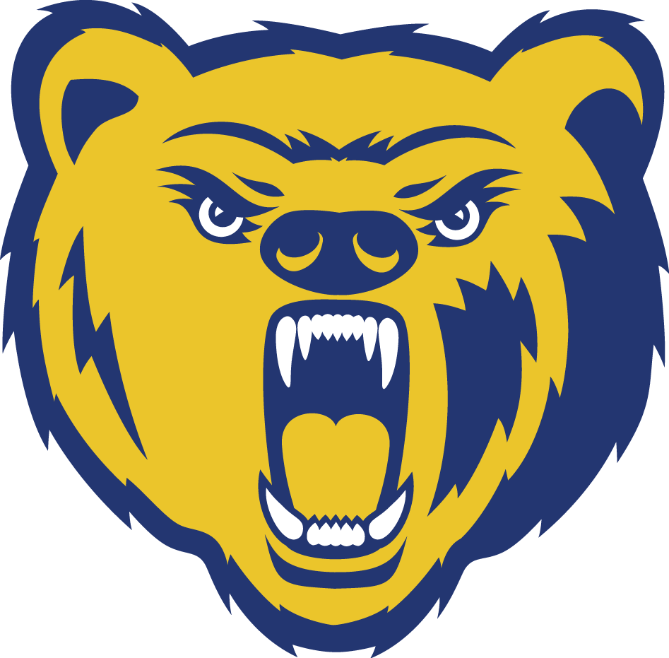 Northern Colorado Bears 2004-2009 Secondary Logo DIY iron on transfer (heat transfer)